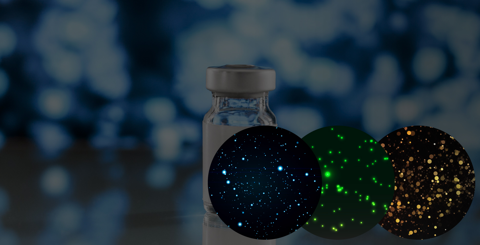 Lector de placas ELISpot de alta resolución - Immunospot