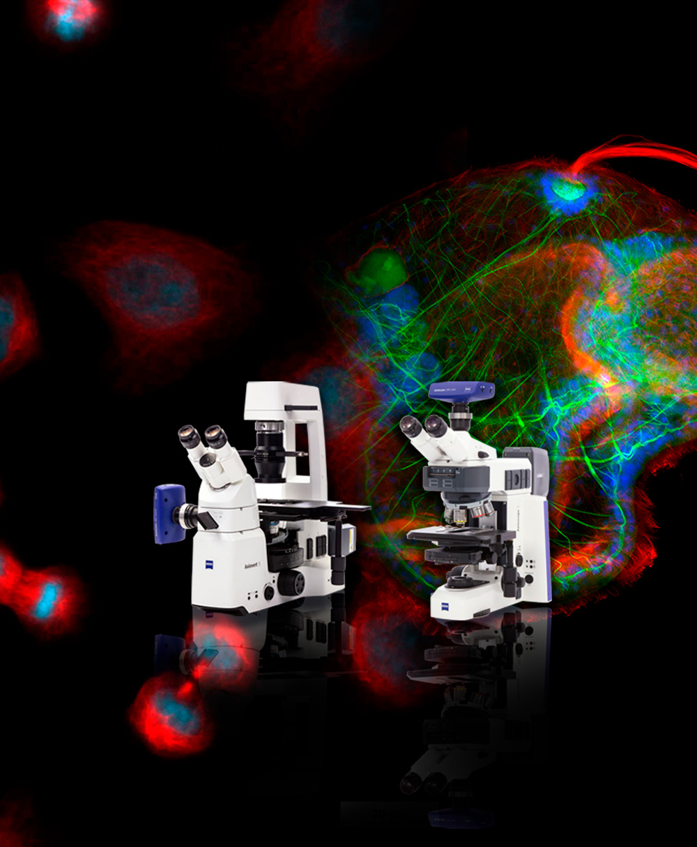 Microscopios fluorescencia