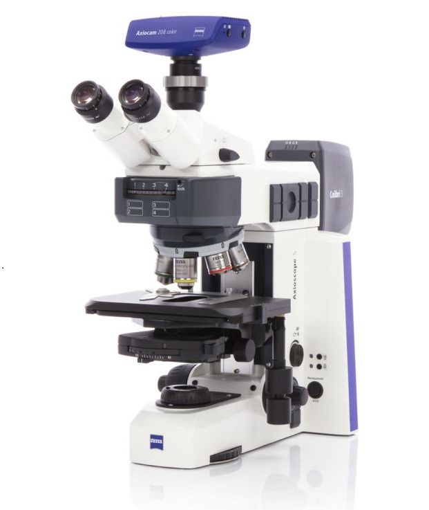 Microscopio Axioscope 5 fl con Axiocam 208 Color