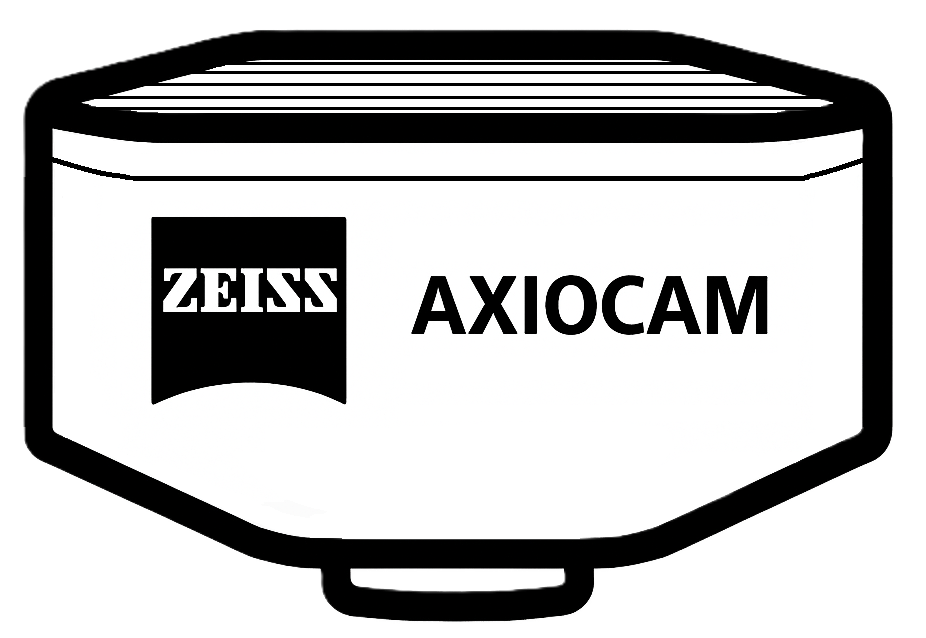 SEM_icon